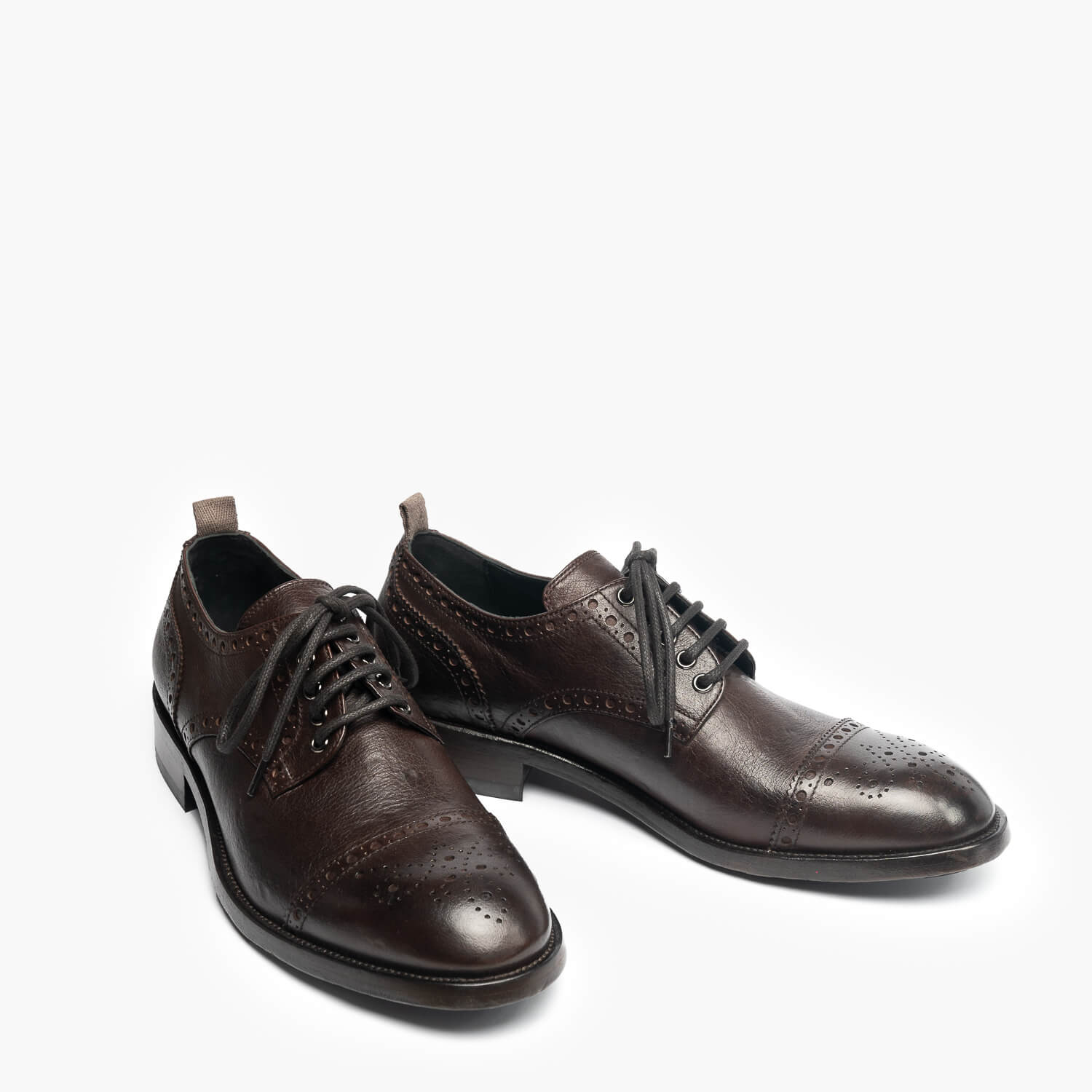 Fabio | Men's oxford brogue shoes in dark brown
